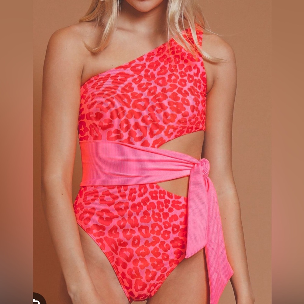 Beach Riot Rae One Shoulder One Piece Bathing Suit